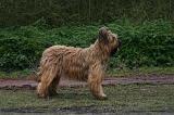 BRIARD 278